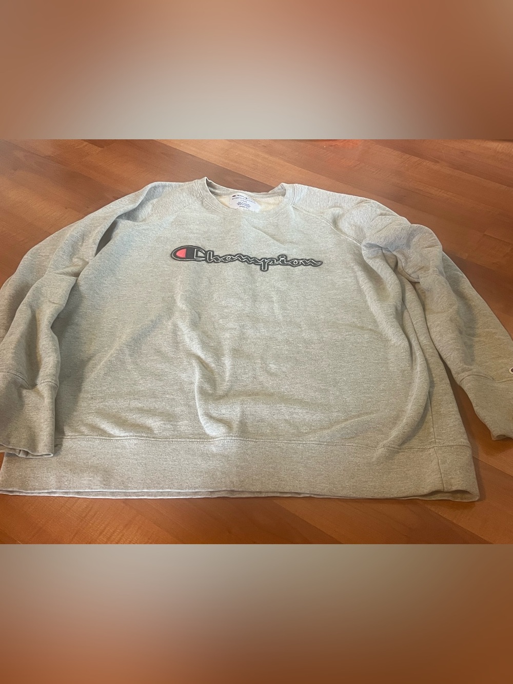 Champion Size Large Sweatshirt